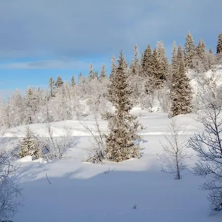 Modern In Beautiful Valdres *